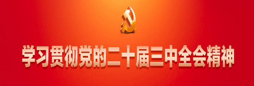 学习贯彻党的二十届三中全会精神